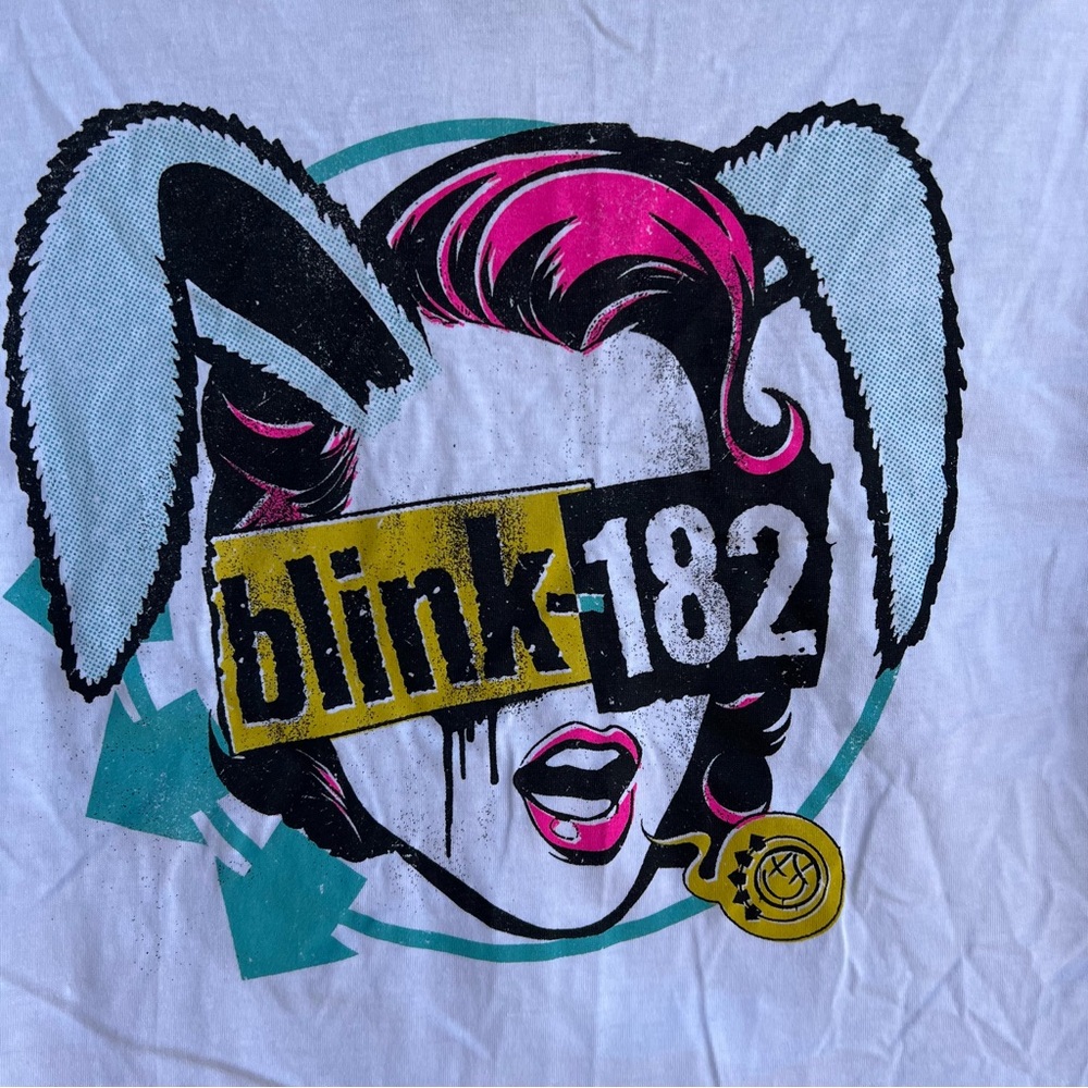 🍒💣 Blink 182 crop style band t-shirt